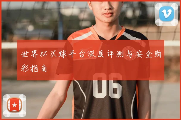 世界杯买球平台深度评测与安全购彩指南