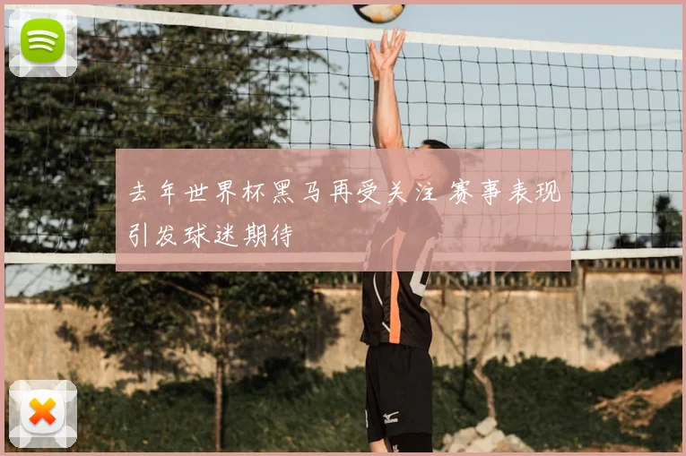去年世界杯黑马再受关注 赛事表现引发球迷期待