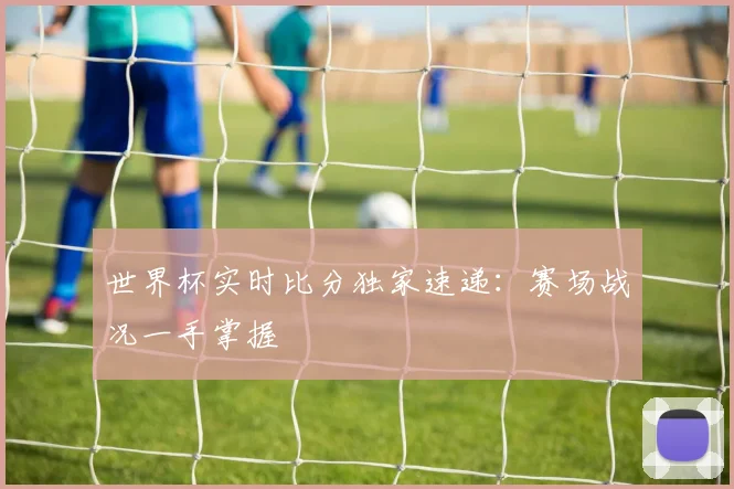 世界杯实时比分独家速递：赛场战况一手掌握