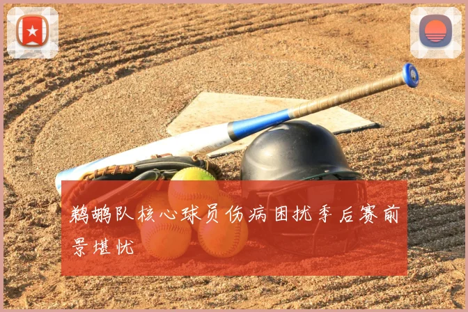 鹈鹕队核心球员伤病困扰季后赛前景堪忧