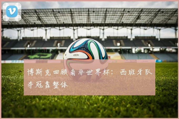 博斯克回顾南非世界杯:西班牙队夺冠靠整体