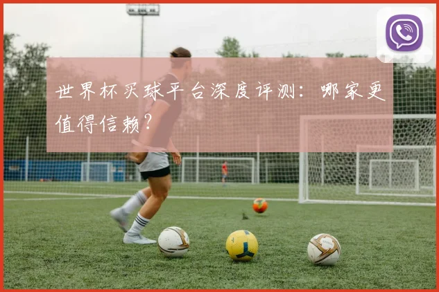世界杯买球平台深度评测：哪家更值得信赖？