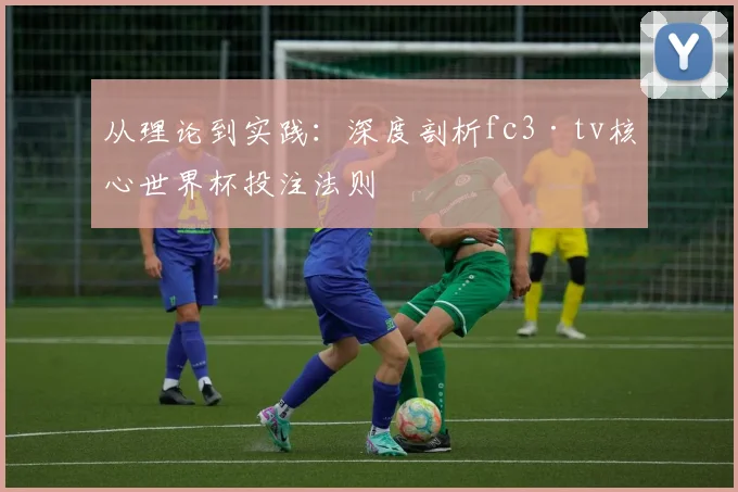 从理论到实践：深度剖析fc3·tv核心世界杯投注法则