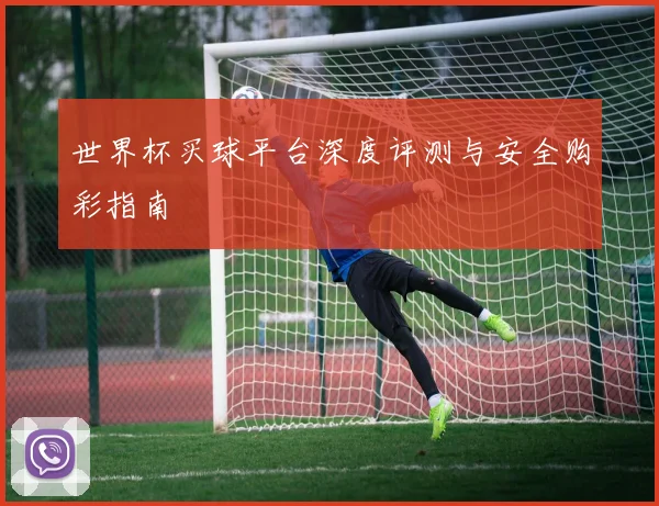 世界杯买球平台深度评测与安全购彩指南