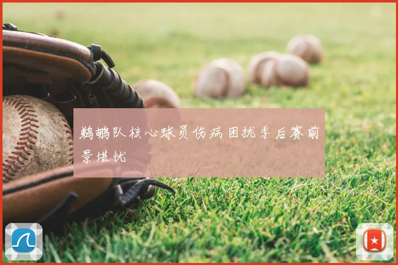 鹈鹕队核心球员伤病困扰季后赛前景堪忧