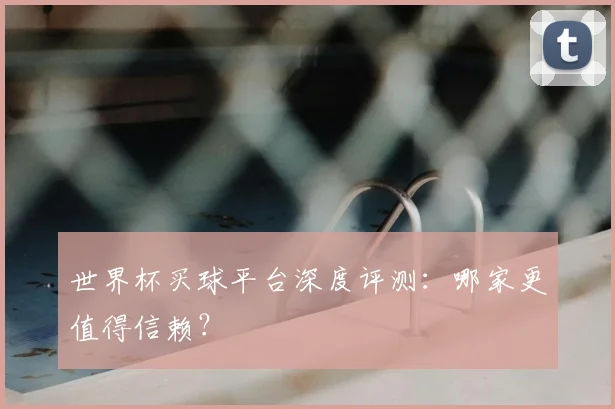 世界杯买球平台深度评测：哪家更值得信赖？