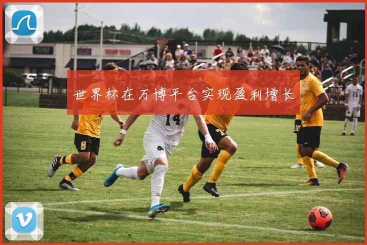 世界杯在万博平台实现盈利增长