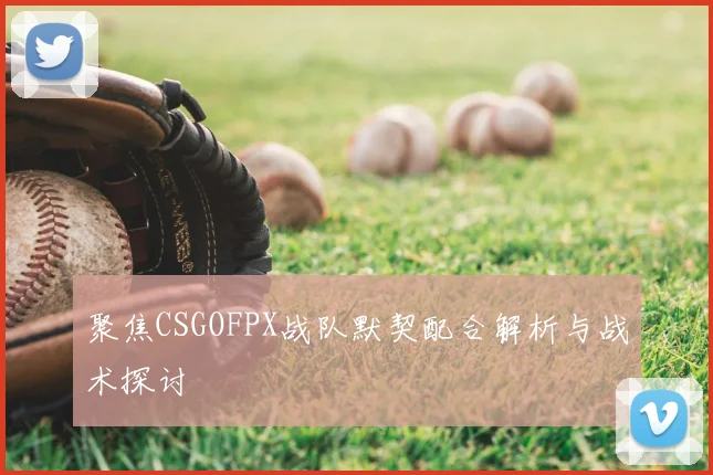 聚焦CSGOFPX战队默契配合解析与战术探讨
